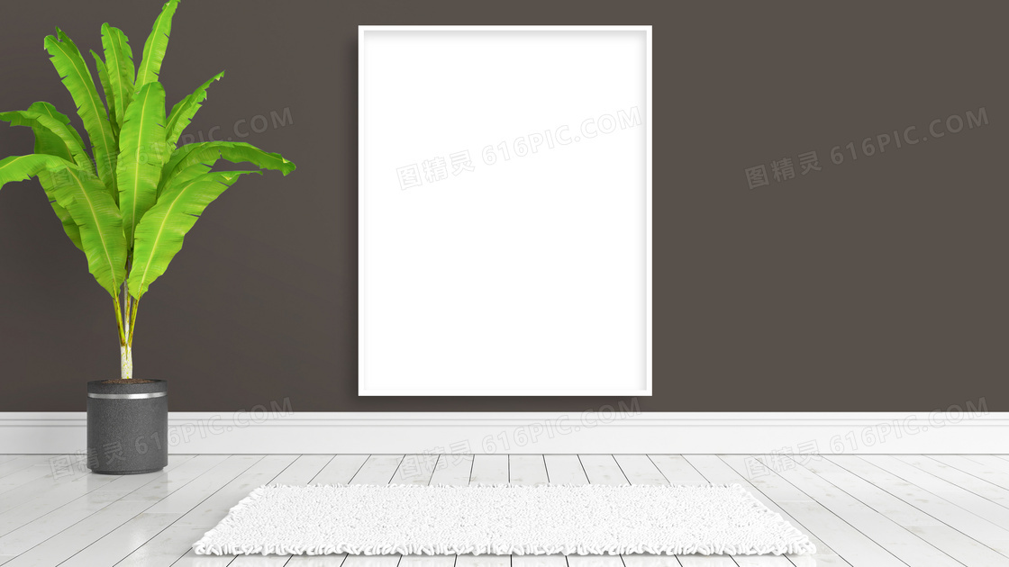 绿色植物与空白的画框创意高清图片