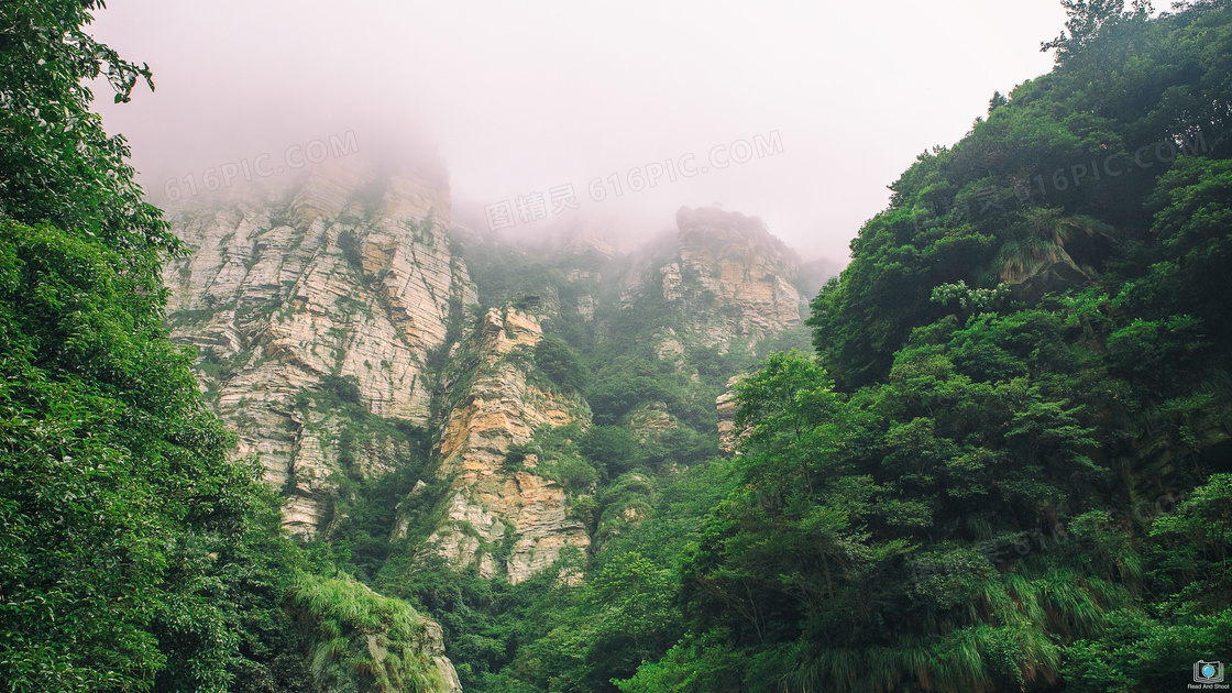 庐山山间美丽的云雾摄影图片