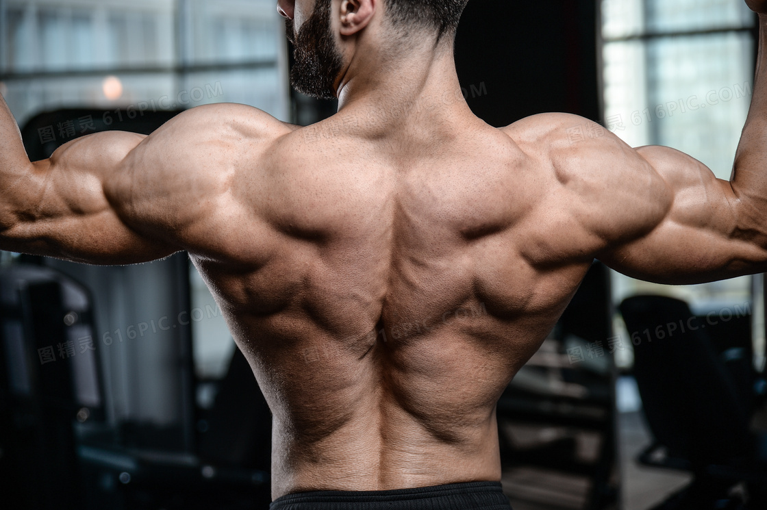 健壮有力背部肌肉男子摄影高清图片