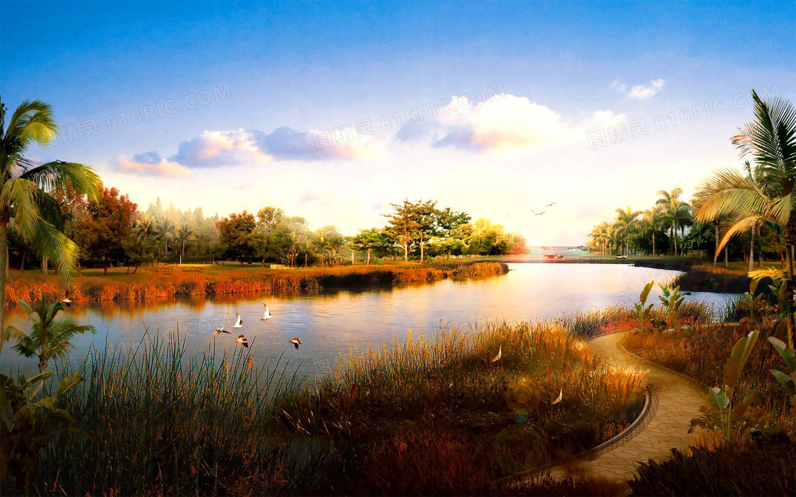 湿地公园黄昏美景摄影图片