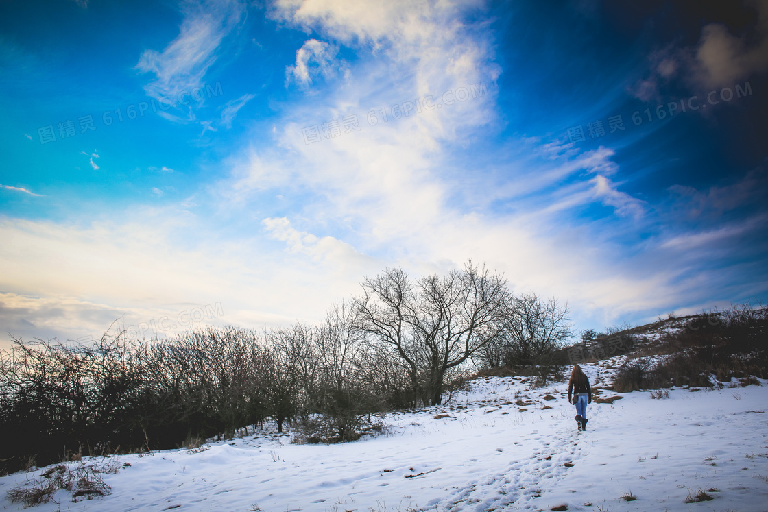 冬日蓝天下的美景雪景摄影图片