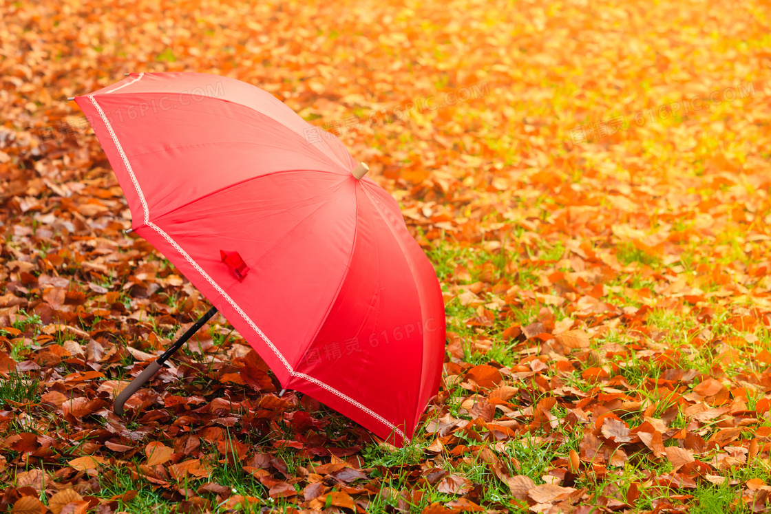 放在草地上的红色雨伞摄影高清图片