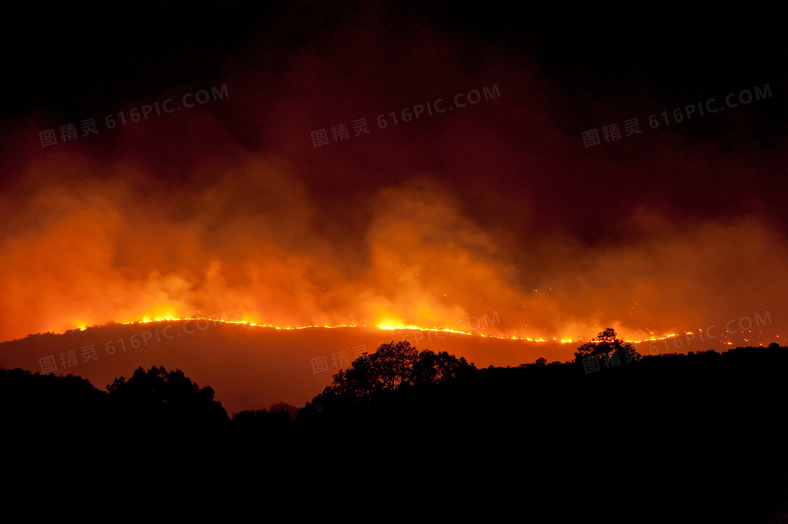 正慢慢逼近的森林大火摄影高清图片
