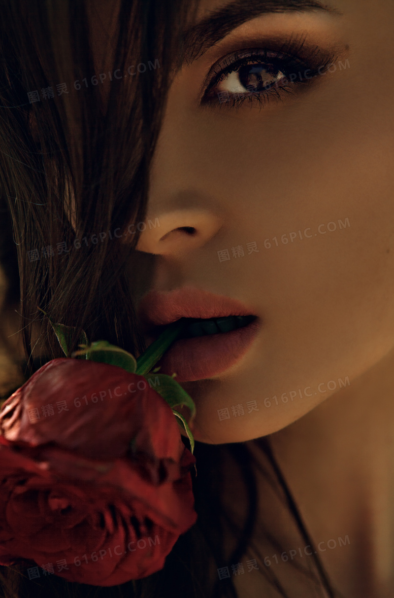 嘴里叼着一只玫瑰花的美女高清图片