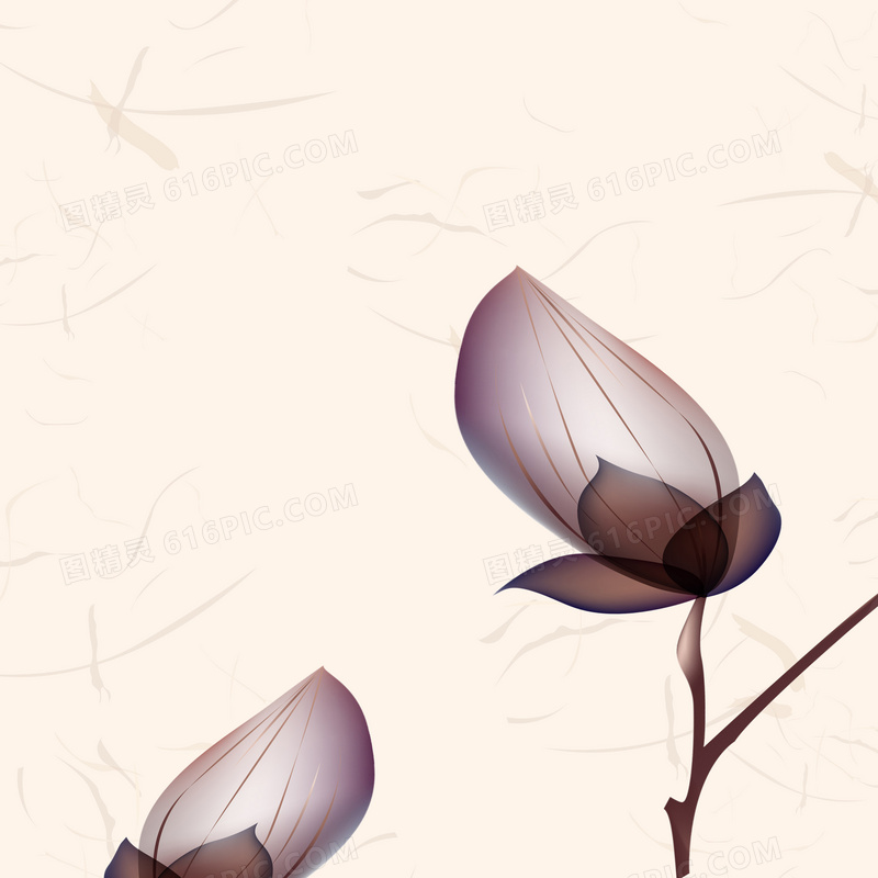 数码创意花朵图案装饰挂画高清图片