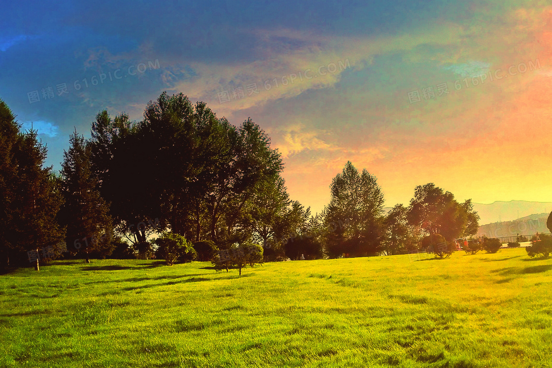 草地和树林夕阳美景摄影图片