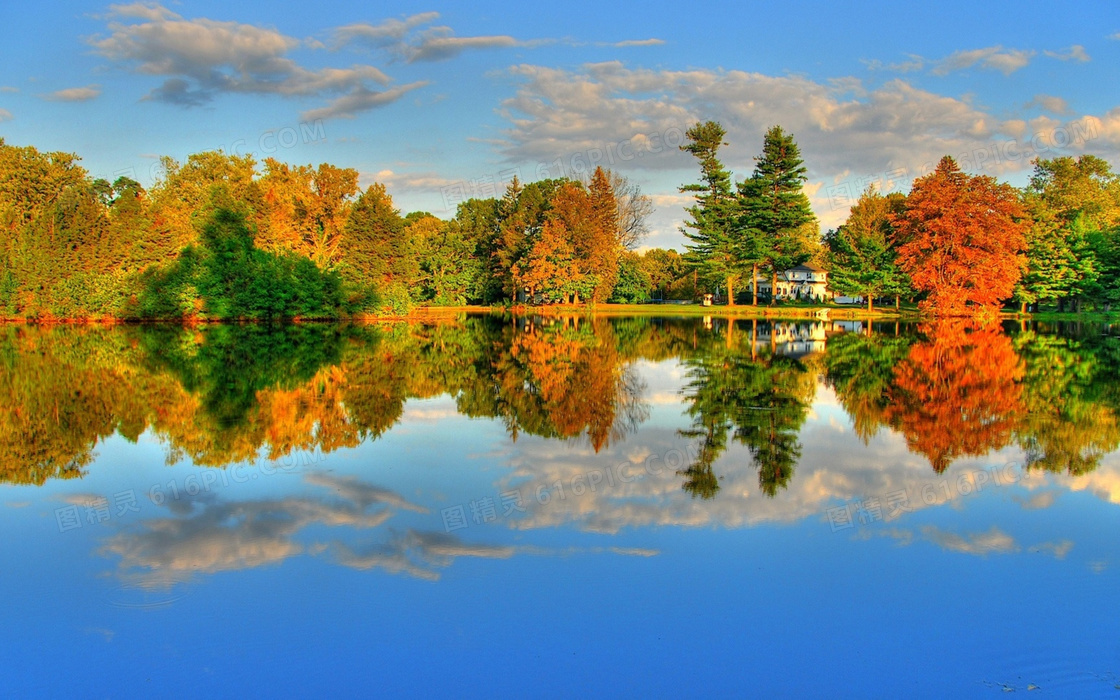 秋季公园湖泊和树木摄影图片
