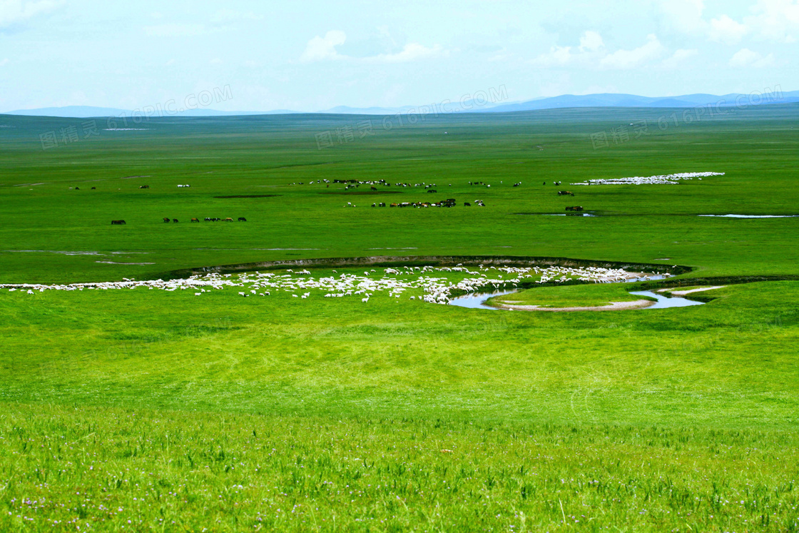 草原上美丽的羊群摄影图片
