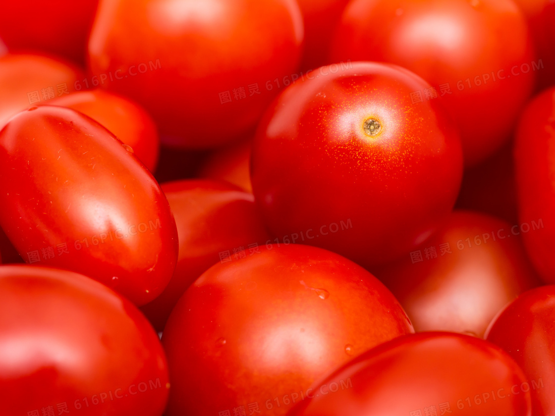 色泽光鲜的西红柿特写摄影高清图片