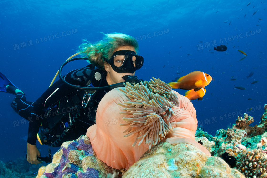 海洋生物与潜水员人物摄影高清图片