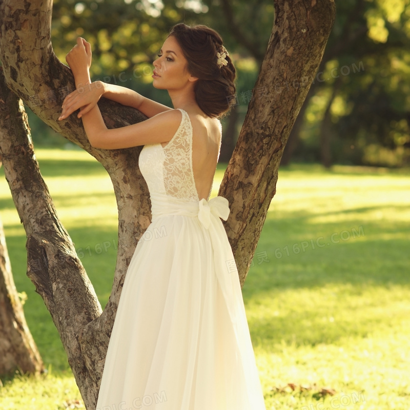靠着树的幸福新娘婚纱摄影高清图片