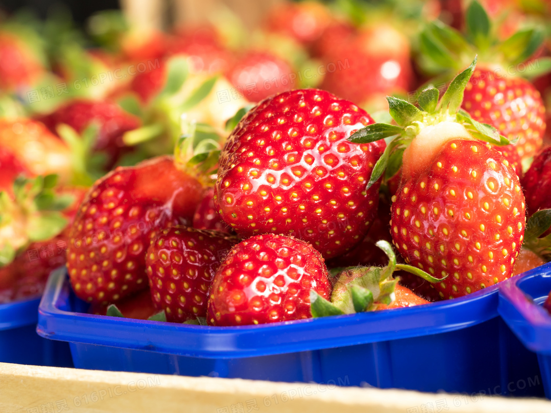 篮子里的新鲜草莓特写摄影高清图片