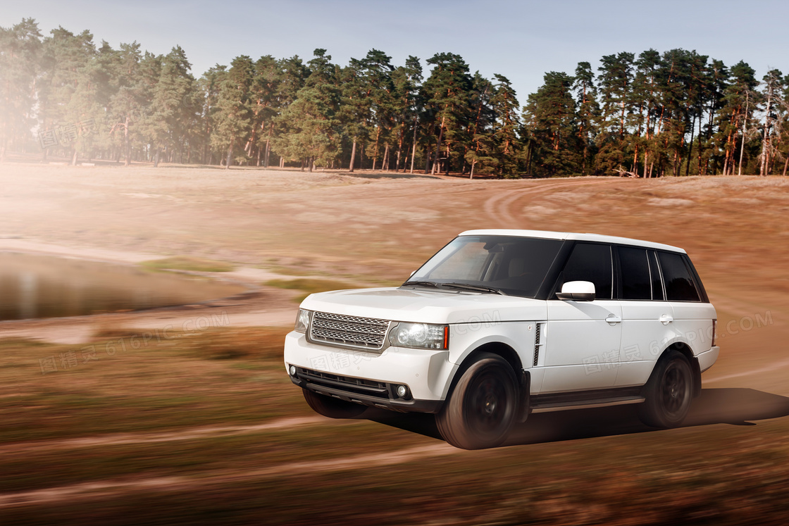 白色汽车与茂密的树林摄影高清图片