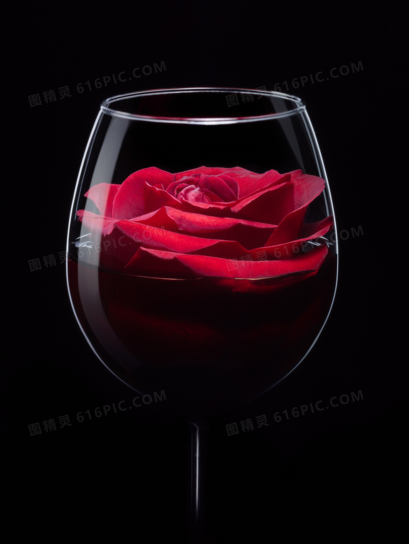 酒杯里的红色玫瑰花朵摄影高清图片