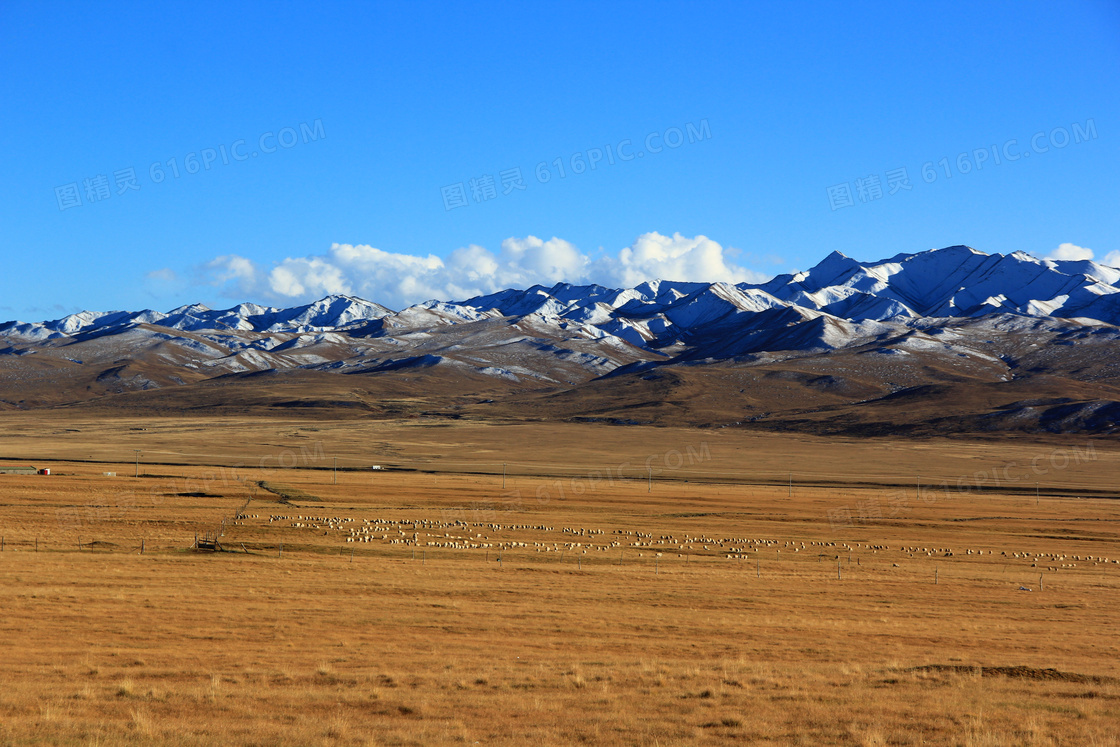 蓝天下的草原牧羊和山峰摄影图片