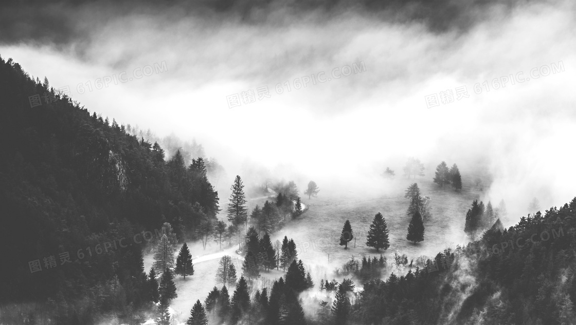 云雾与在山坡上的树木摄影高清图片
