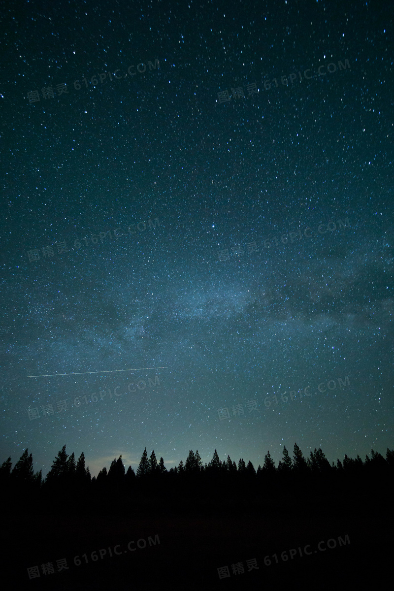 树木与划过夜空的流星摄影高清图片