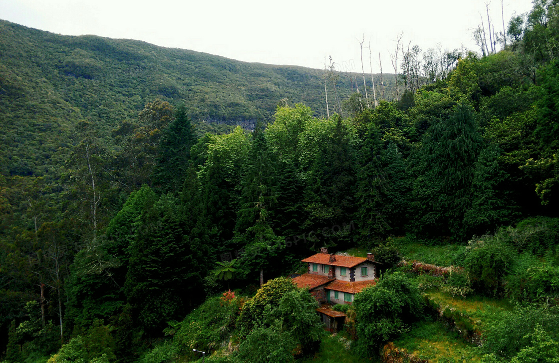 静谧深山树木自然风景摄影高清图片