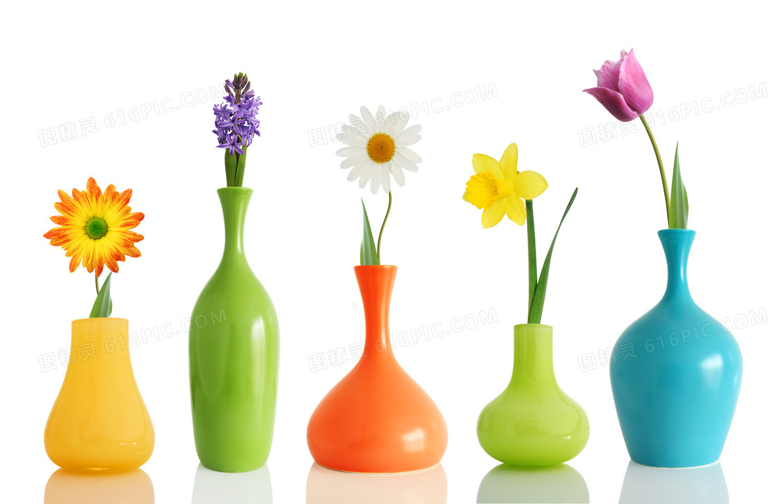 颜色各异的插花与花瓶摄影高清图片