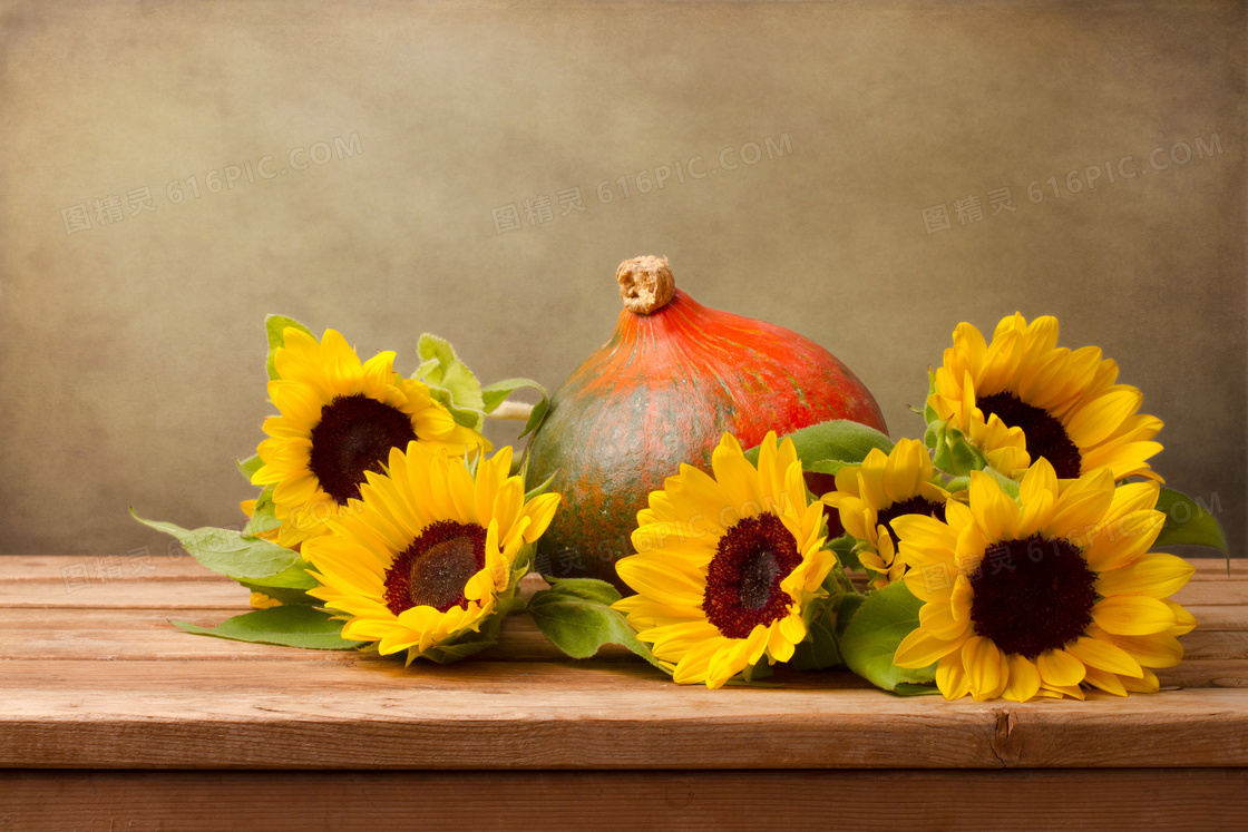 桌子上的向日葵与南瓜摄影高清图片