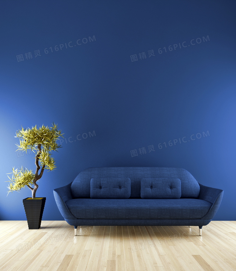 房间里的盆景与蓝色的沙发高清图片