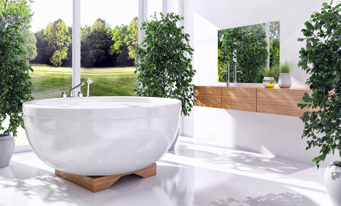 绿色植物装饰与浴缸等摄影高清图片