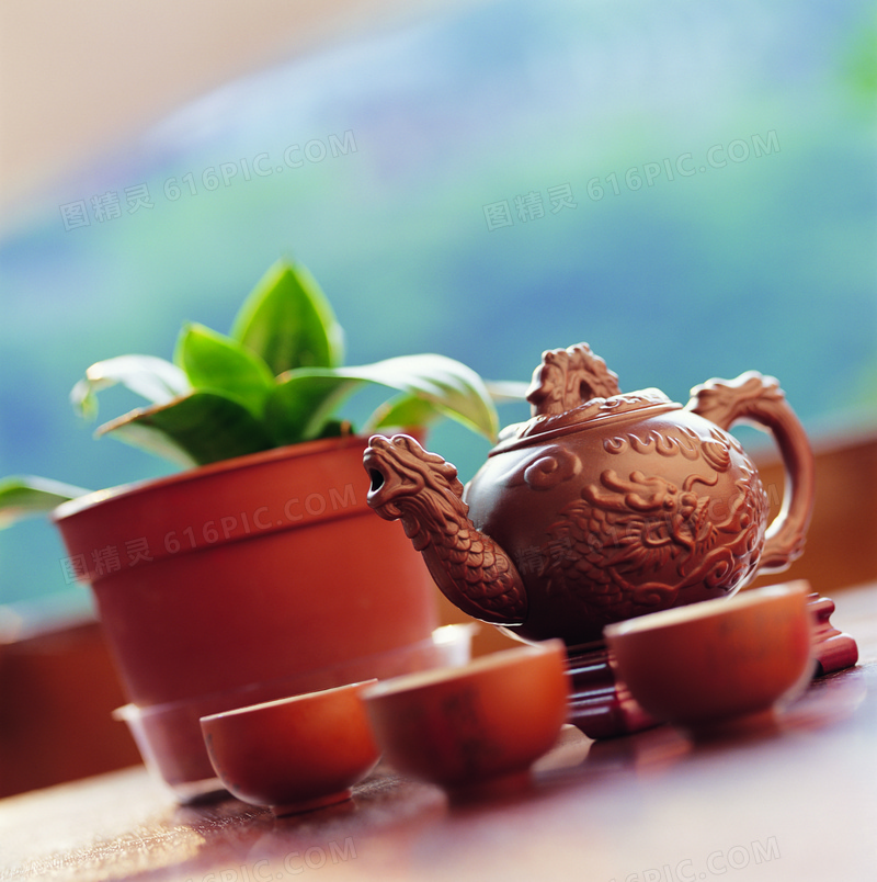 植物盆栽与茶壶茶碗等摄影高清图片