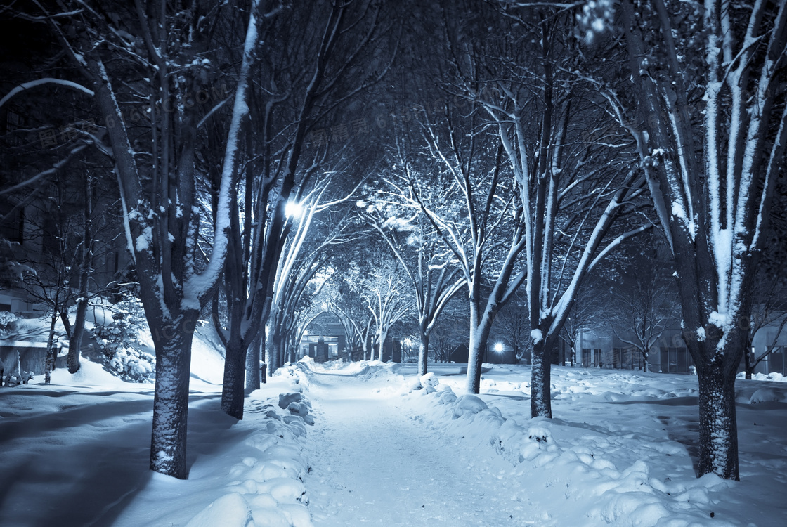 被厚厚积雪覆盖的地面摄影高清图片