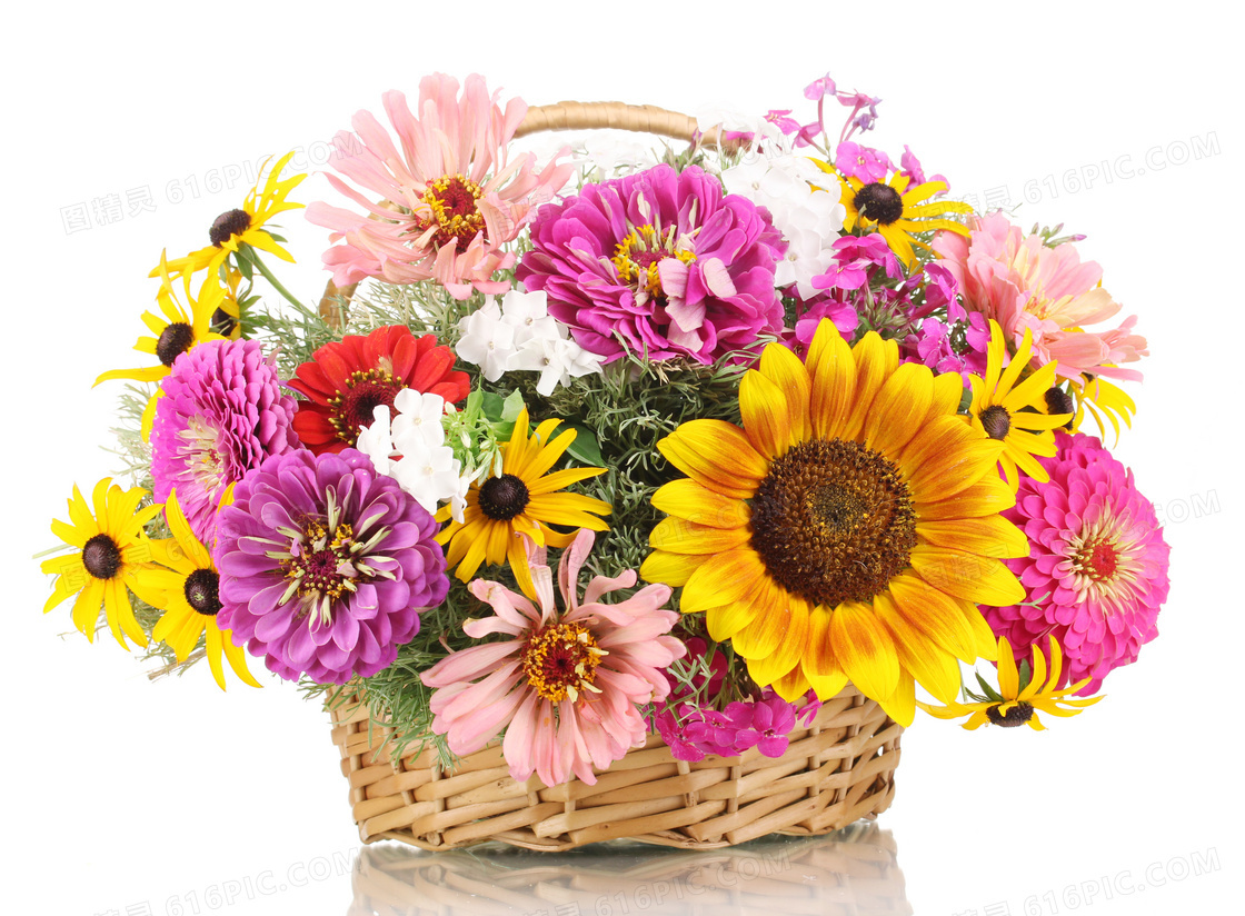 篮筐里的向日葵等鲜花摄影高清图片