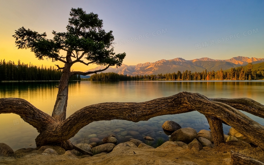 平静的湖泊黄昏美景摄影图片