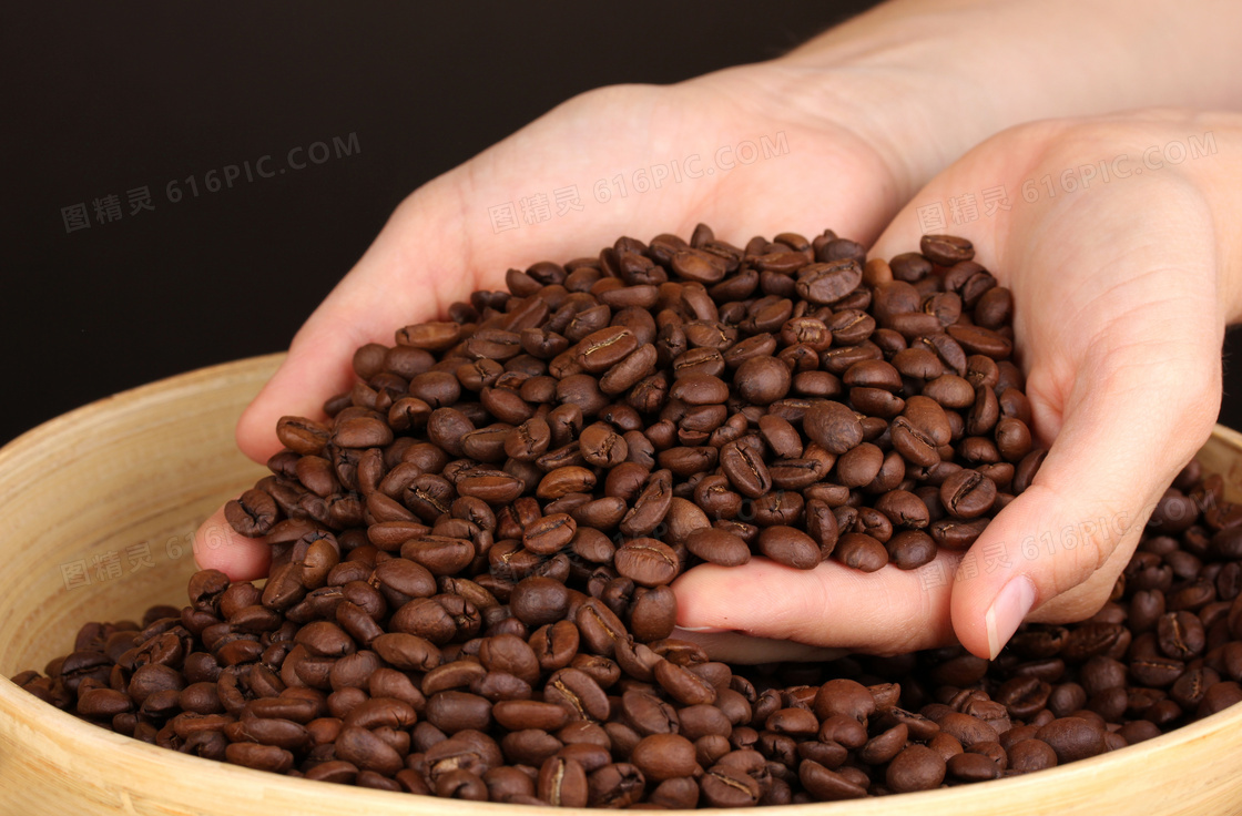 捧在手里的咖啡豆近景摄影高清图片