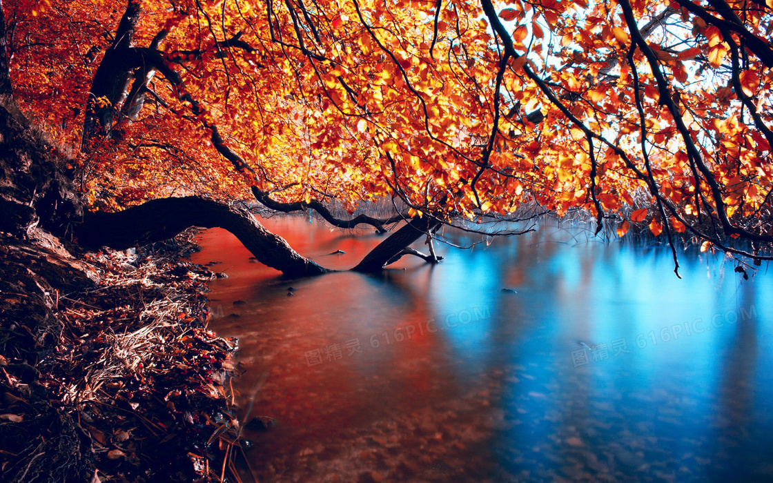 秋季森林溪水唯美摄影图片