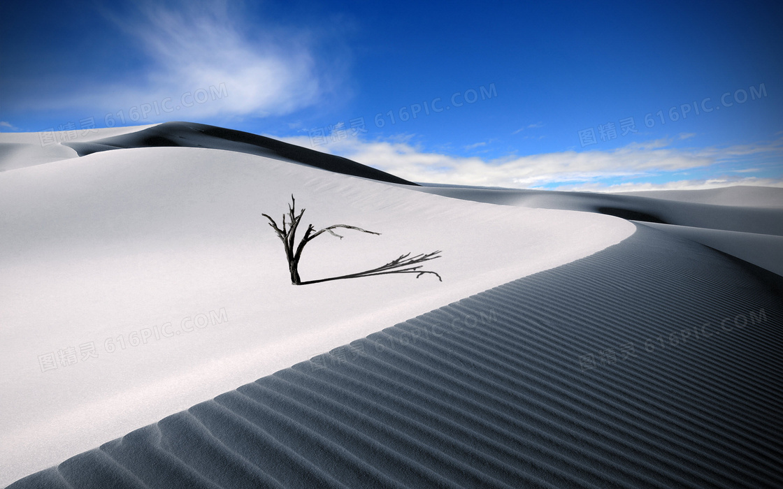 蓝天下的沙漠美丽风光摄影图片