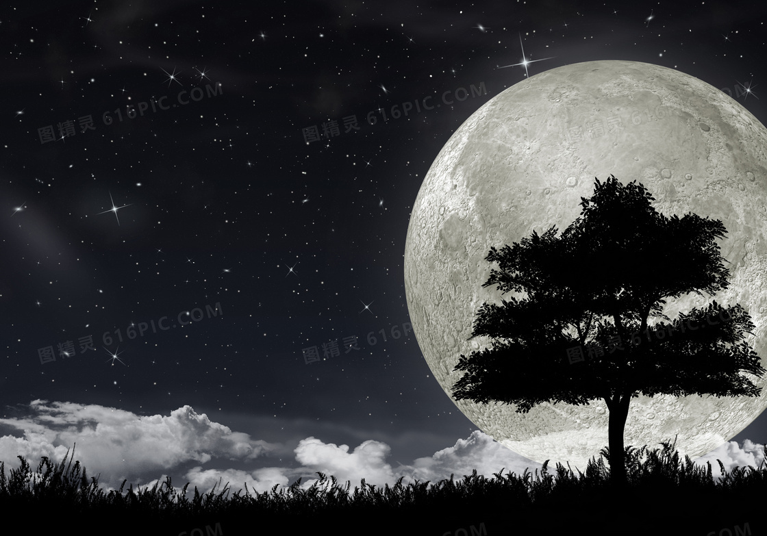 浩瀚星空月亮与树剪影设计高清图片