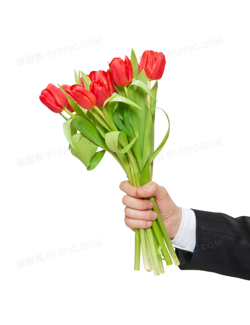 红色郁金香花束与手势摄影高清图片