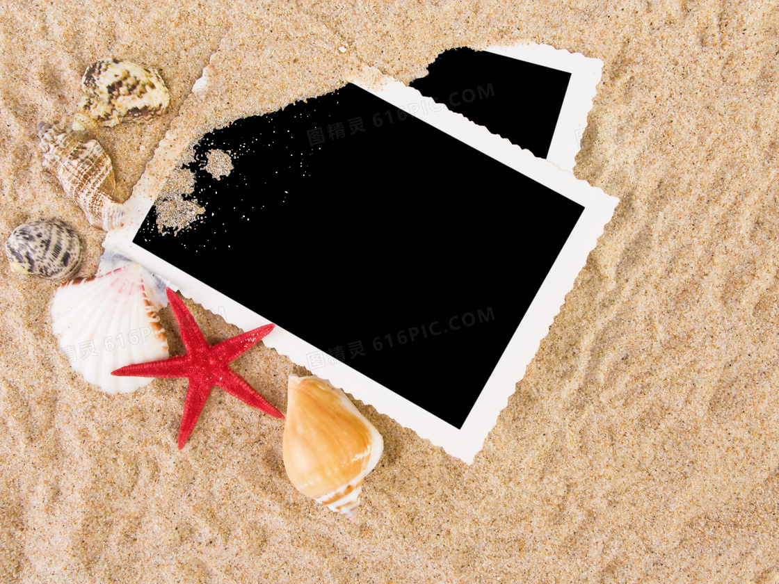 沙滩上的相片贝壳摄影高清图片