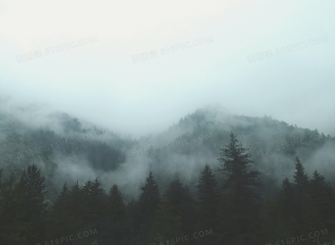在山间雾气笼罩的树林摄影高清图片