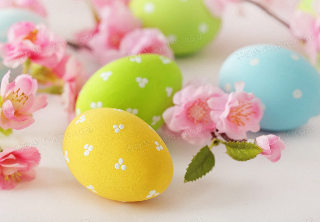 几枚彩蛋与粉色的樱花摄影高清图片