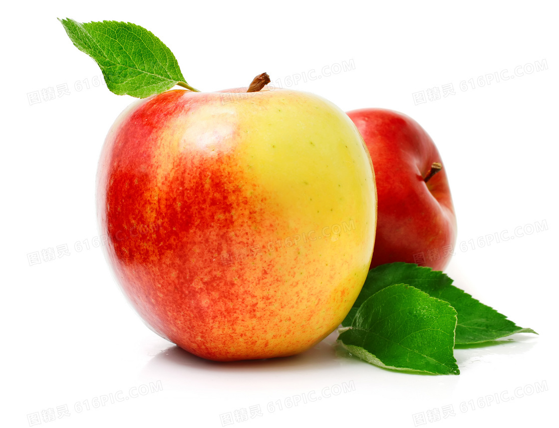成熟了的两个苹果特写摄影高清图片
