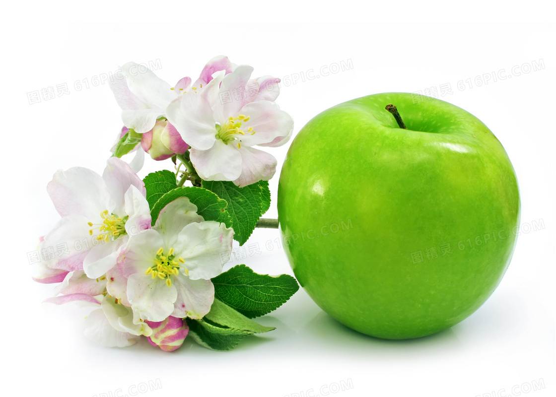 鲜花与大又圆的青苹果摄影高清图片