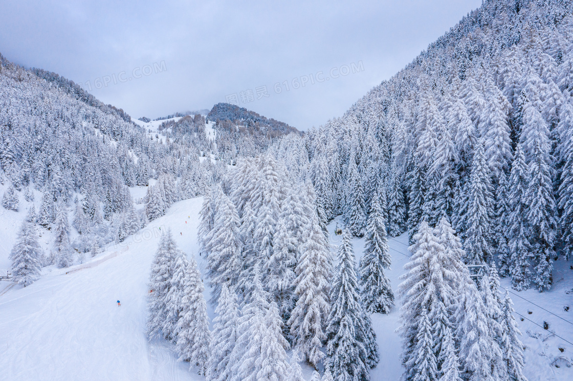 冬季大雪后的山林美景摄影图片