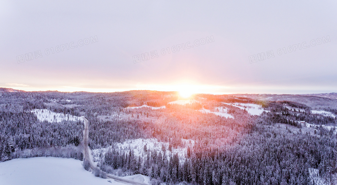 冬季雪后森林日出美景摄影图片