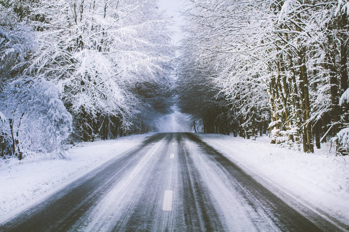 冬季雪后林中道路景观摄影图片