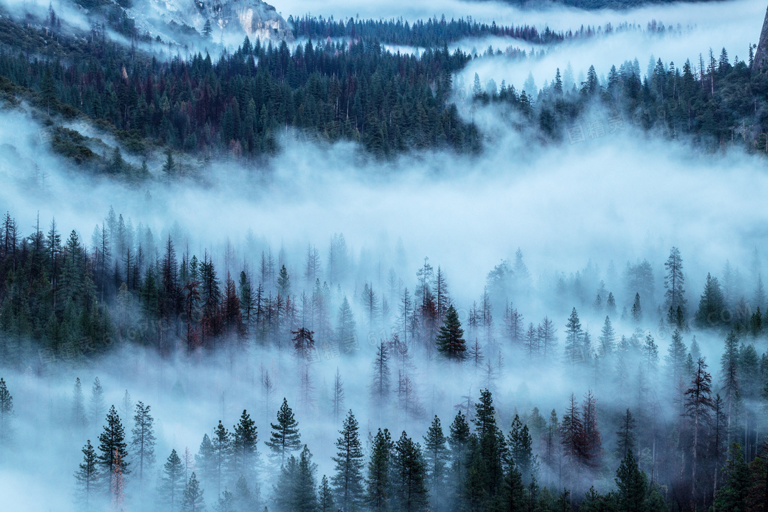 雾气朦胧的山林美景摄影图片