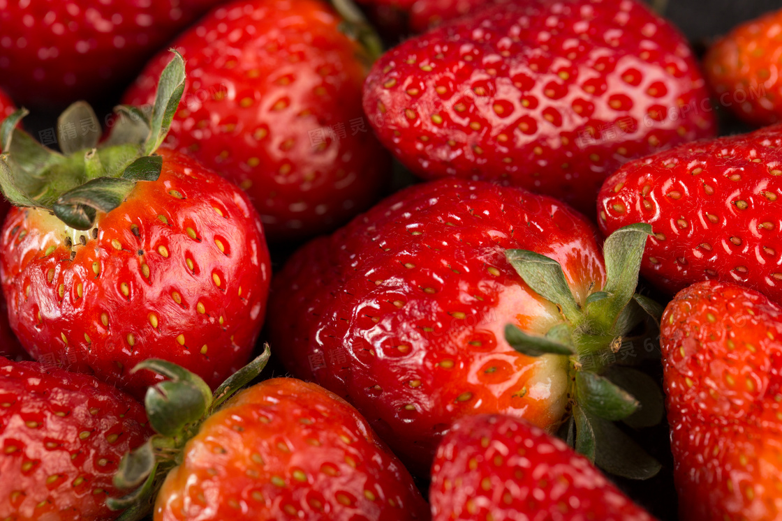 大个头的草莓近景特写摄影高清图片