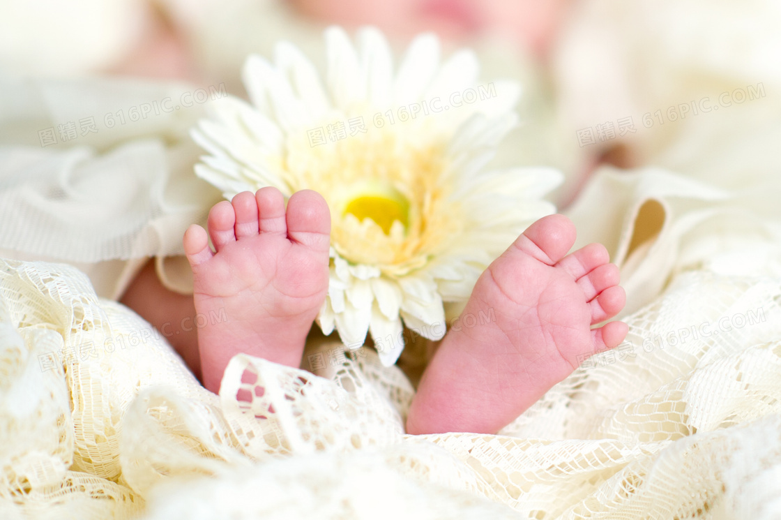 蕾丝抱被中伸出的宝宝脚丫摄影图片
