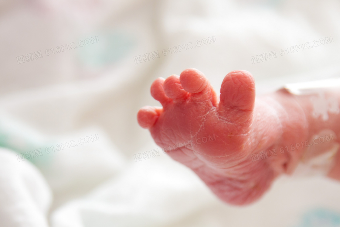 刚刚出生的新生儿脚丫摄影图片