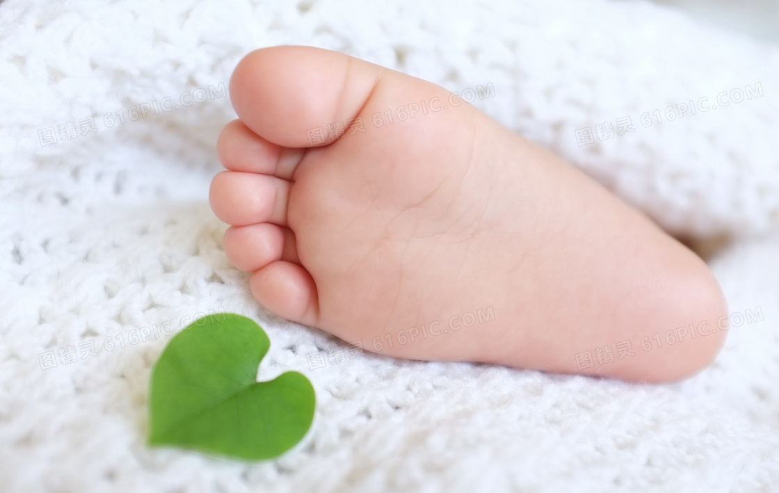 宝宝脚丫和心形绿叶摄影图片