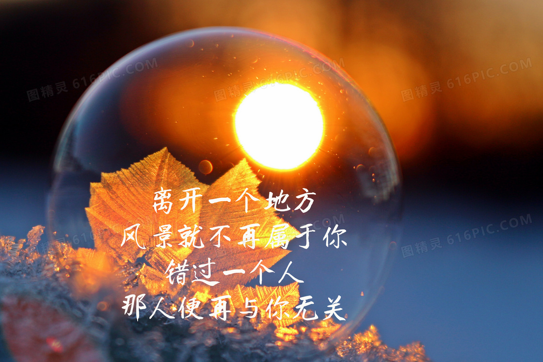 唯美小清新带字图片