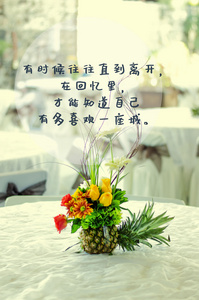 唯美人生感悟文字图片